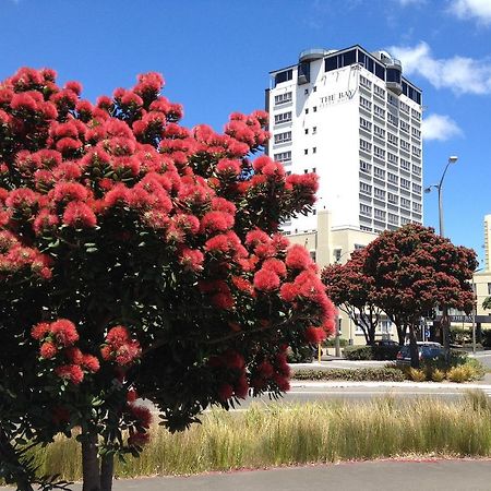 Bay Plaza Hotel Wellington Kültér fotó