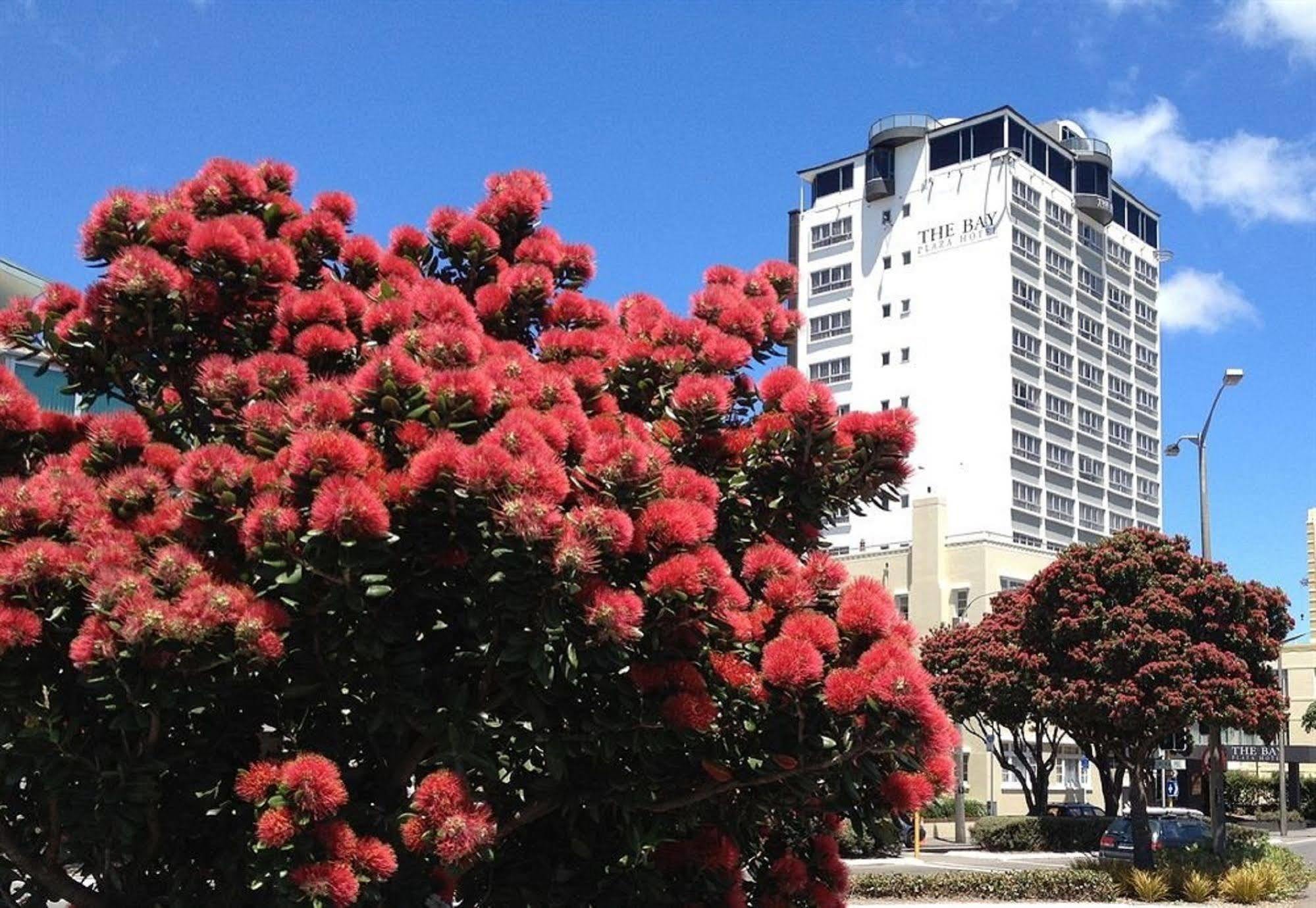 Bay Plaza Hotel Wellington Kültér fotó
